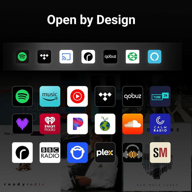 WiiM Sound Wireless Smart Speaker With 1.8" Touch Display - Black