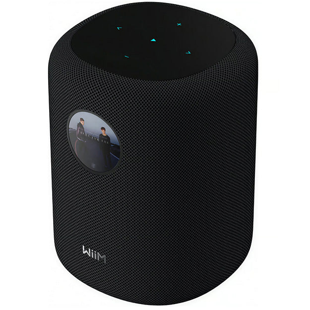 WiiM Sound Wireless Smart Speaker With 1.8" Touch Display - Black