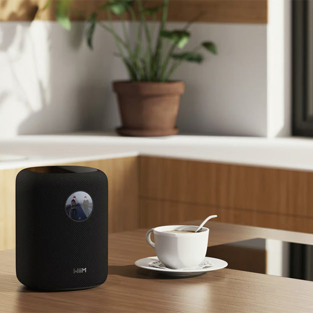 WiiM Sound Wireless Smart Speaker With 1.8" Touch Display - Black