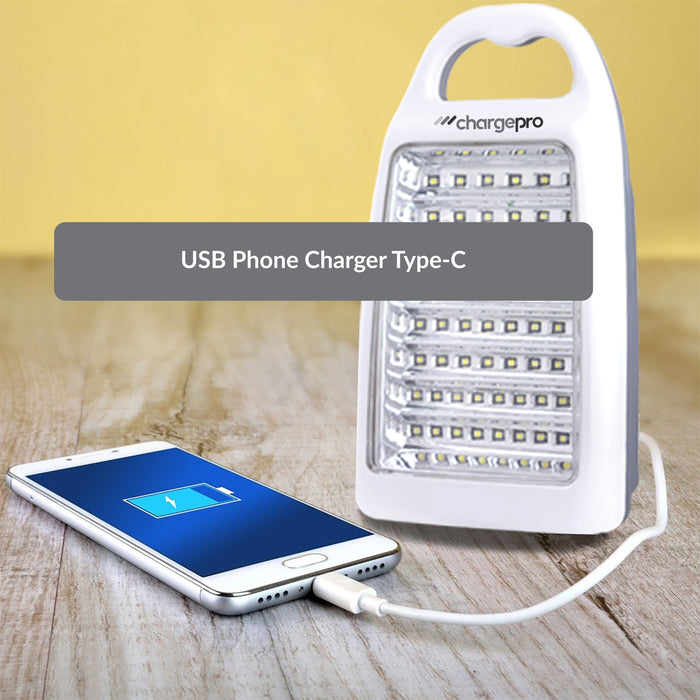 ChargePro 12-Watt 800 Lumens 60 LED Camping / Emergency Light (Lithium-Ion Battery) With USB In/Out