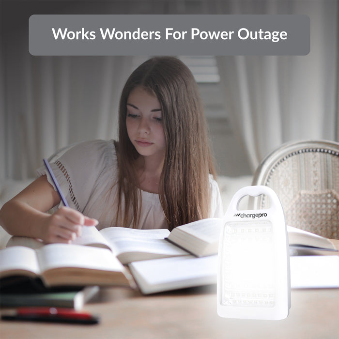 ChargePro 12-Watt 800 Lumens 60 LED Camping / Emergency Light (Lithium-Ion Battery) With USB In/Out