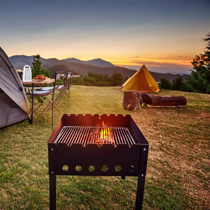 ChargePro 12-Watt 800 Lumens 60 LED Camping / Emergency Light (Lithium-Ion Battery) With USB In/Out