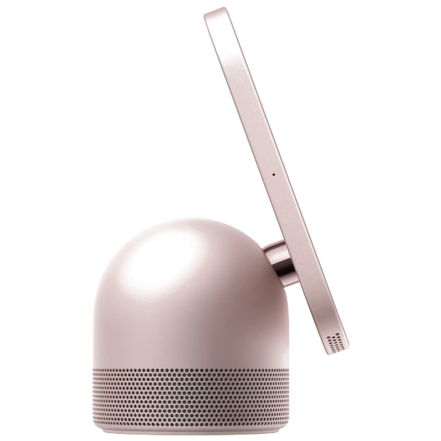 Apple HomeView